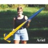 PML Ariel
